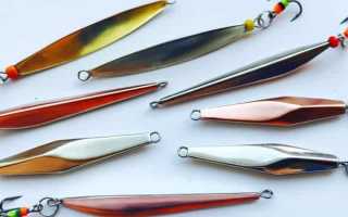 Лучшие зимние и летние блесны на судака