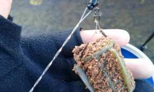 Рыбалка на донку осенью: оснастка, насадки и наживки, техника