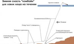 Ловля леща на комбайн зимой: оснастка и монтаж, особенности рыбалки на спускник