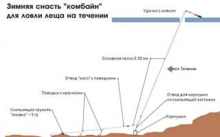 Ловля леща на комбайн зимой: оснастка и монтаж, особенности рыбалки на спускник