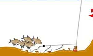 Рыболовная снасть комбайн: монтаж, использование на зимней рыбалке