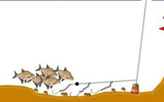 Рыболовная снасть комбайн: монтаж, использование на зимней рыбалке