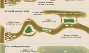Ловля судака на джиг весной, летом и осенью