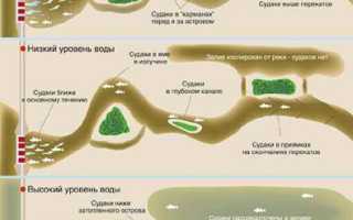 Ловля судака на джиг весной, летом и осенью