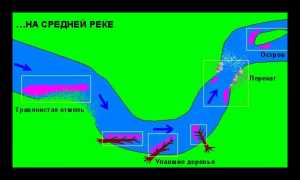 Повадки щуки в ноябре, где ее искать и на что ловить