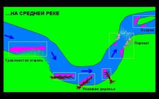 Повадки щуки в ноябре, где ее искать и на что ловить