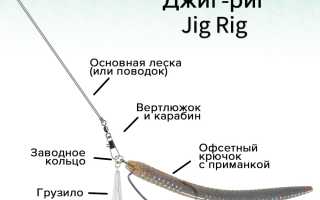 Оснастка джиг-риг: варианты монтажа, проводка, преимущества и недостатки