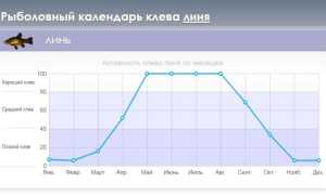 Ловля линя весной на поплавок, фидер, донку