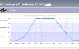 Ловля линя весной на поплавок, фидер, донку
