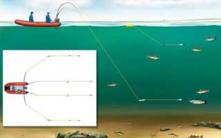 Как выбрать лучшие воблеры на щуку для троллинга: выбор модели