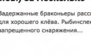 Как я освоил мультипликаторную снасть