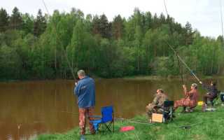 Ловля уклейки на поплавочную удочку весной, летом и осенью