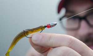 Техасская оснастка для спиннинга: монтаж, изготовление и техника ловли хищной рыбы