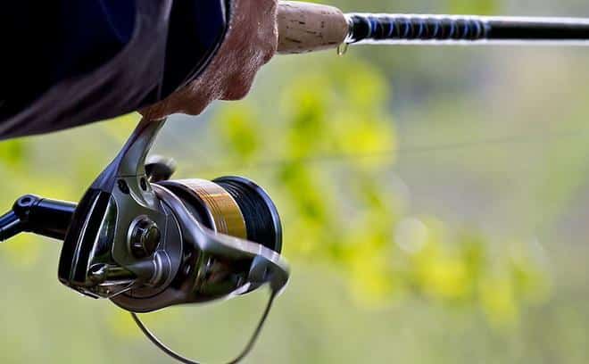 Как выбрать катушку для фидера: лучшие топовые и хорошие бюджетные