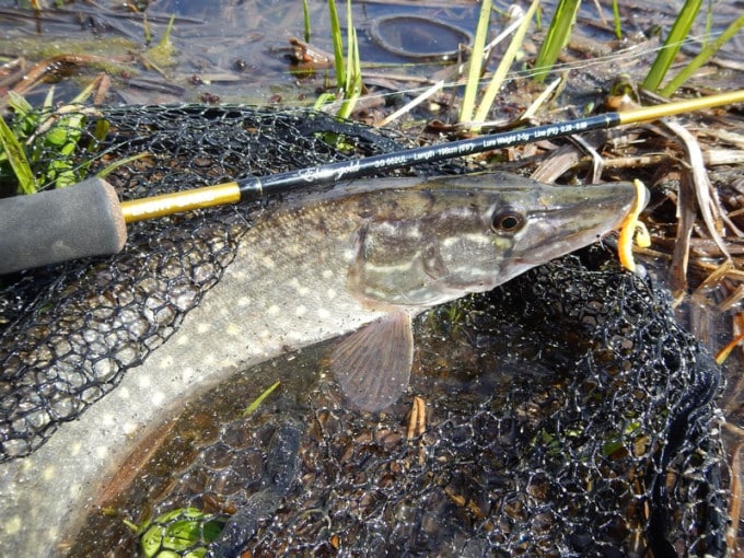 Микроджиг для начинающих: теория, практика и видео-советы экспертов