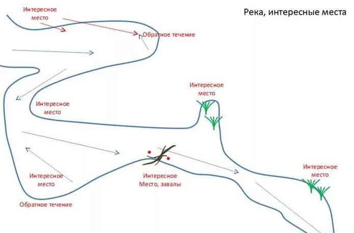 Ловля плотвы зимой на поплавок со льда: поиск, оснастка зимней поплавочной удочки