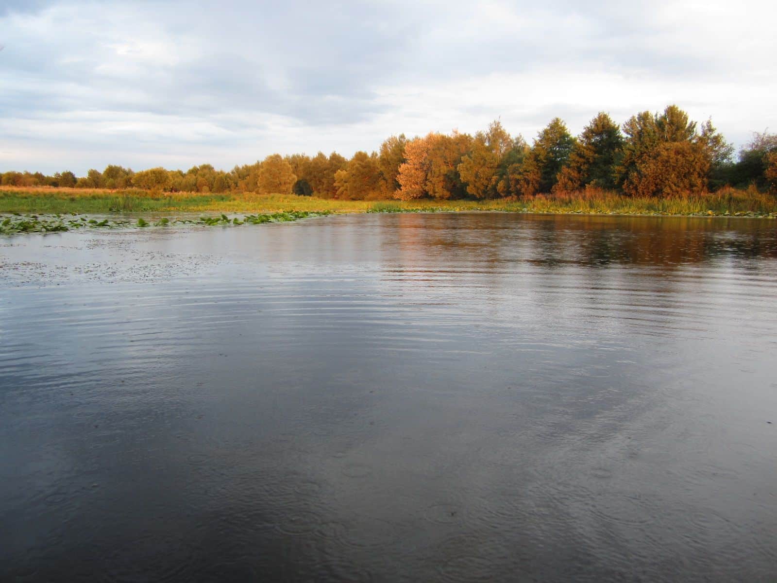 Красота реки