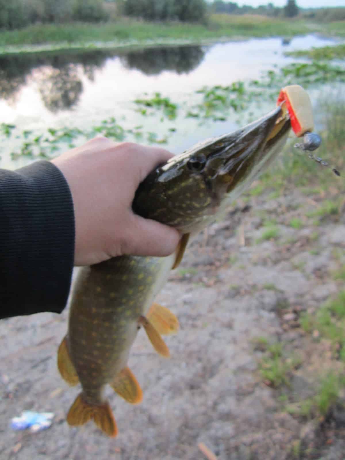 Жесткий монтаж виброхвоста