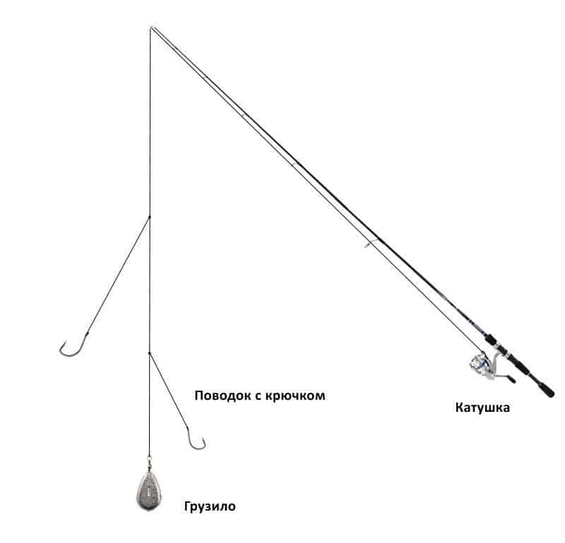 Как ловить язя осенью: снасти, приманки и тактика поиска