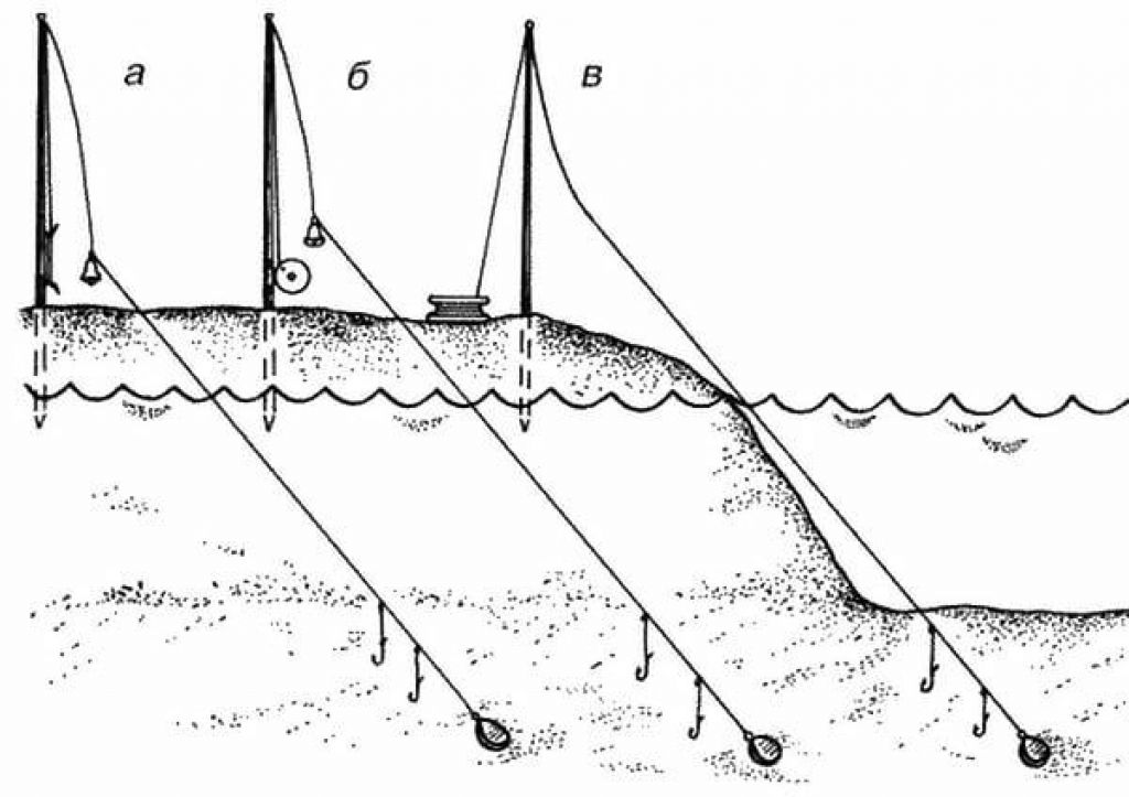 Ночная рыбалка осенью - судак, лещ, налим и другие