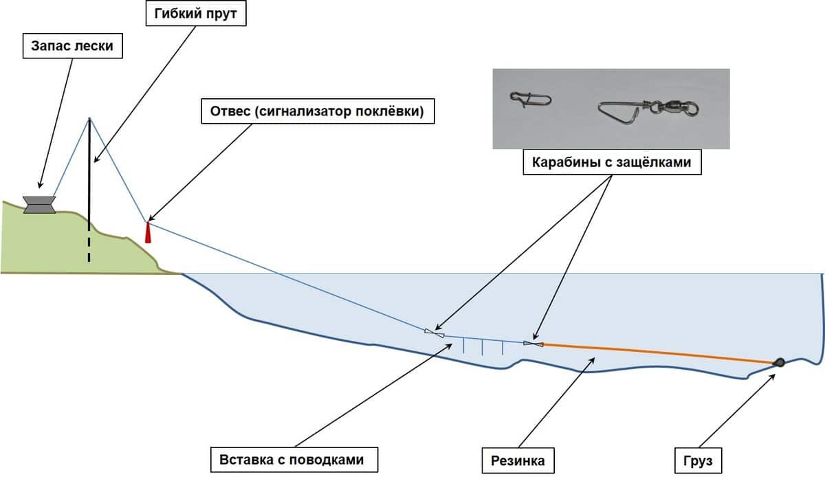 Рыба кунджа - описание, повадки, ареал обитания и рыбалка