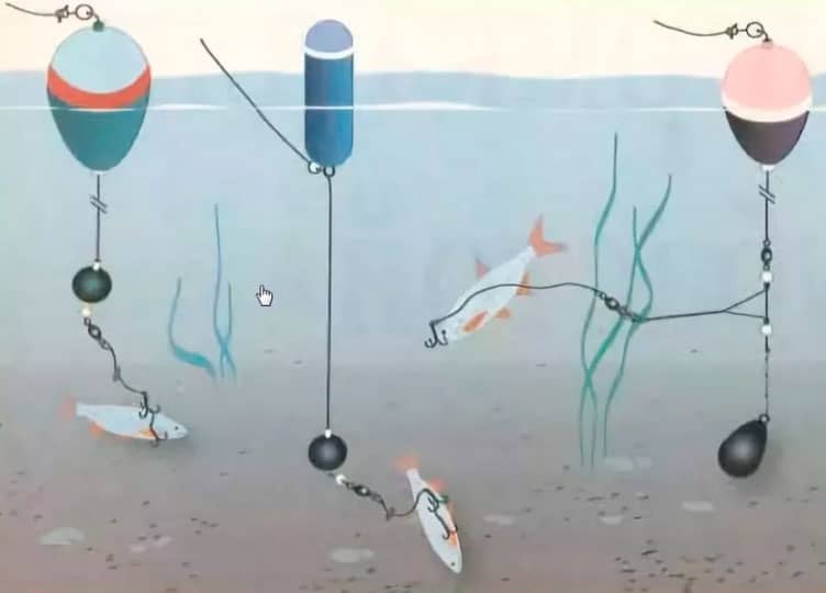 Поплавочная ловля осенью в сентябре, октябре и ноябре - секреты и советы