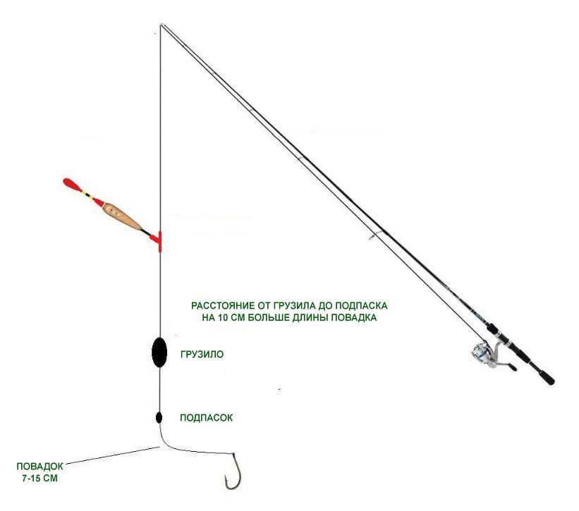 Ловля линя весной на поплавок, фидер, донку