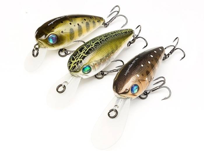 Pontoon 21 Mojarrilla