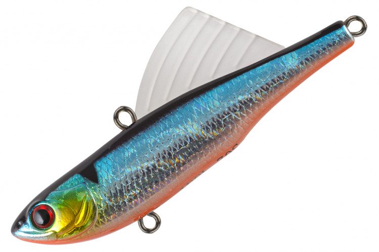 Что нужно знать про рыбу сибас: как выглядит и как приготовить морской волк