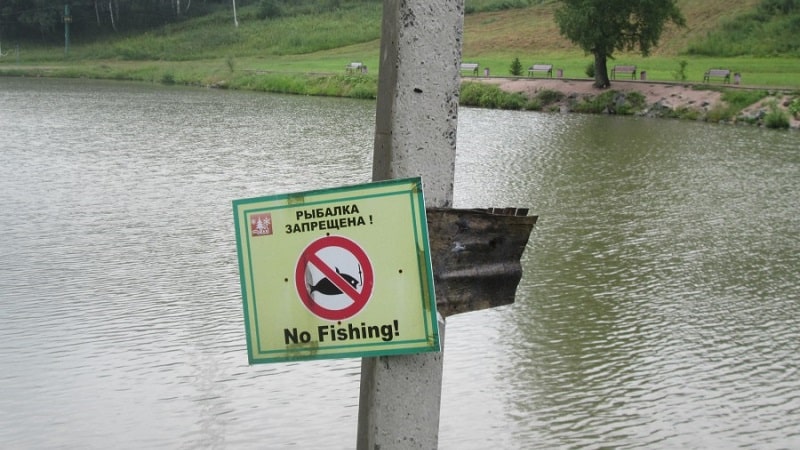 Рыбалка в Омске и Омской области: карта рыболовных мест, свежие видео отчеты