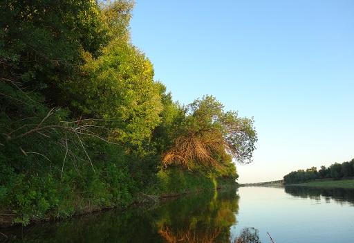 Рыбалка на Ахтубе осенью в сентябре, октябре и ноябре