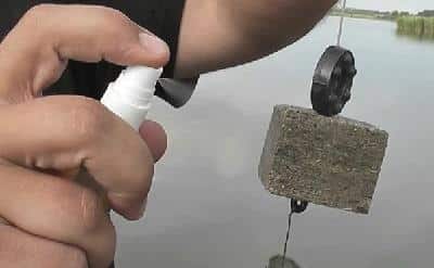 Ловля карпа на макуху, секреты ловли на макушатник