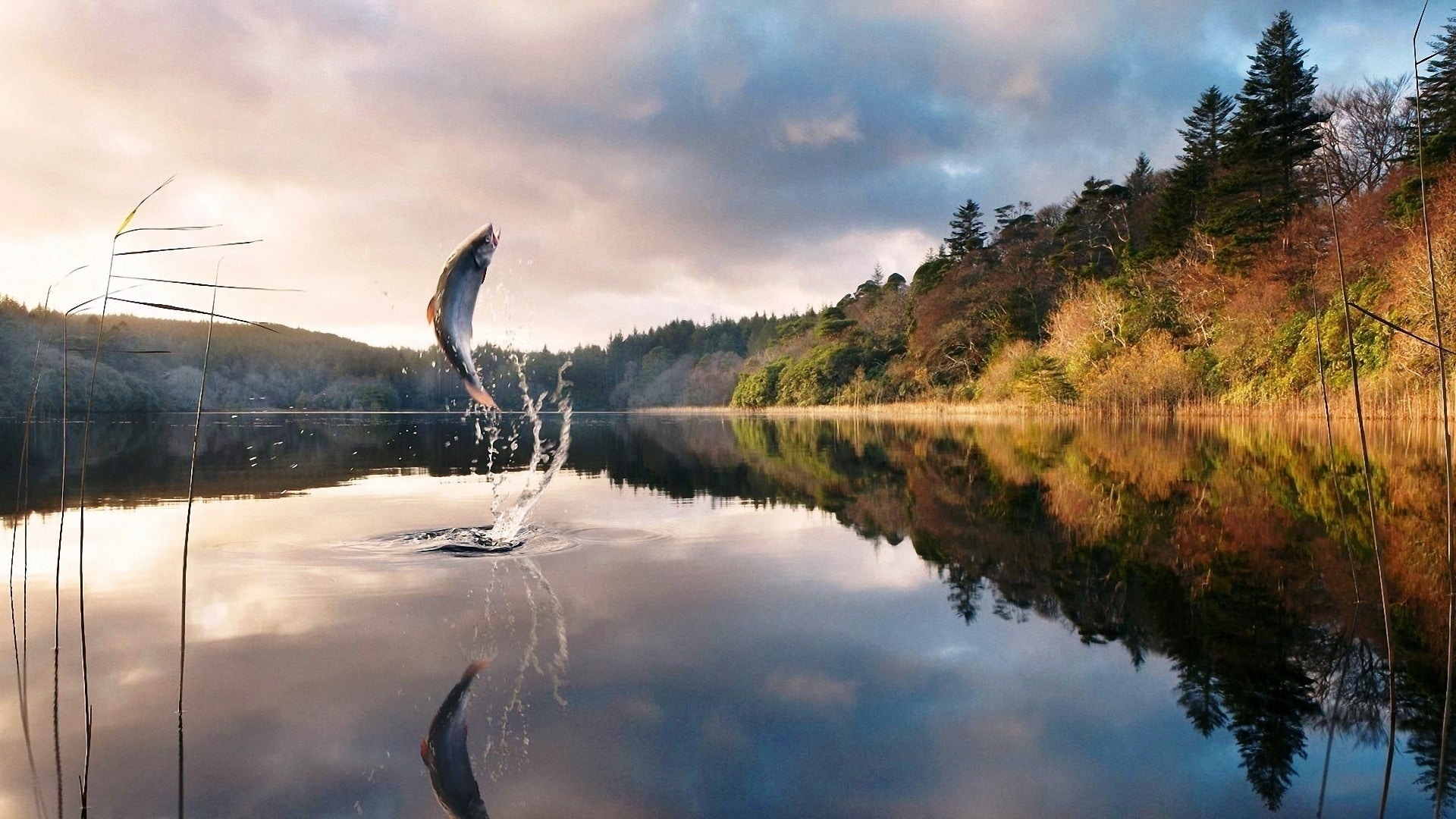 Рыбалка в Астрахани и Астраханской области в зависимости от сезона