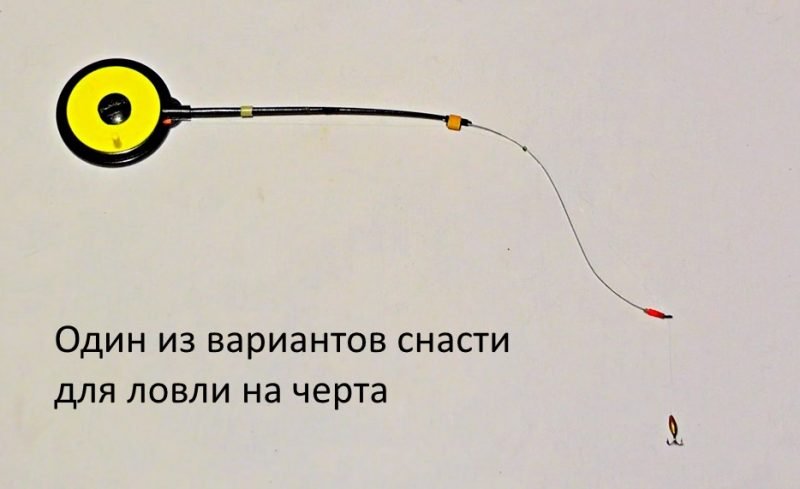 Ловля на черта зимой: как привязать мормышку, техника и советы по ловле рыбы