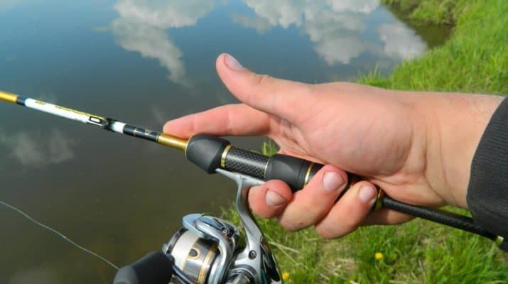 «Правильные» воблеры на окуня: 10 лучших крэнков, минноу, щэдов