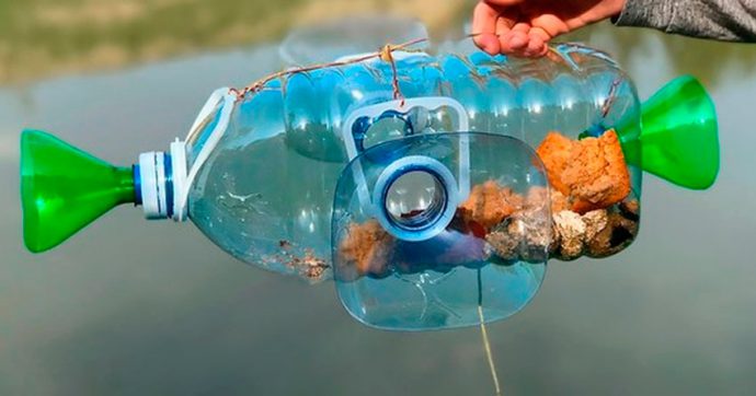 Как поймать осенью живца, сохранить и перевезти на место рыбалки