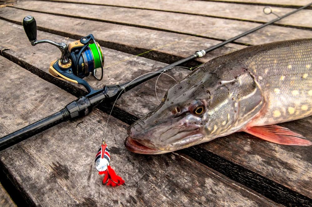 Виды спиннинговых приманок: топ-110 искусственных приманок под все условия