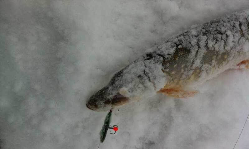 Как ловить на бокоплав - выбор, настройка приманки, проводка