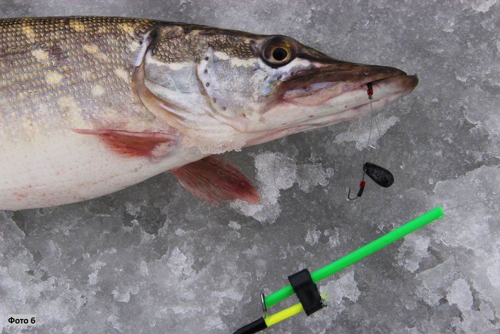 Микробалда для зимней рыбалки: как ловить и изготовление своими руками