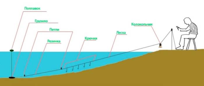 Рыба голавль: описание, повадки, поиск, ловля и приготовление