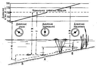 Ловля леща на поплавочную удочку зимой: оснастка, тактика рыбалки