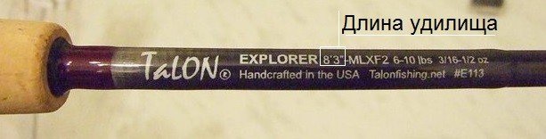 Как выбирать спиннинг для ловли хищной рыбы: советы для начинающих