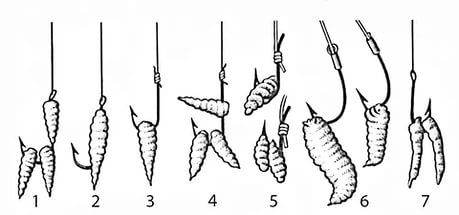 Как опарыша насадить на крючок и одеть на мормышку - наглядное фото