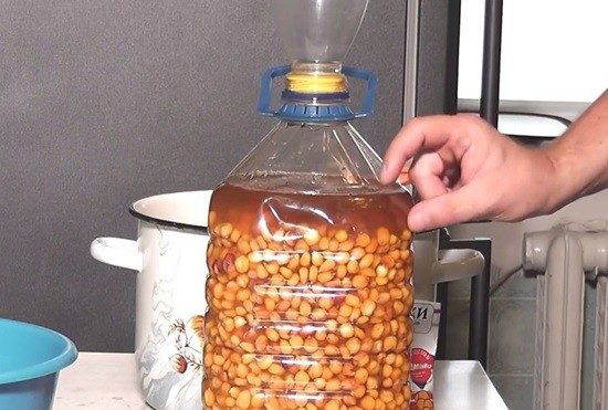 Как сделать и хранить ферментированную кукурузу для рыбалки