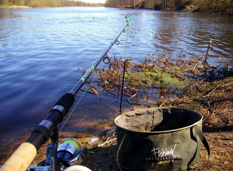 На что ловить карпа - лучшие насадки и наживки в зависимости от сезона и снасти