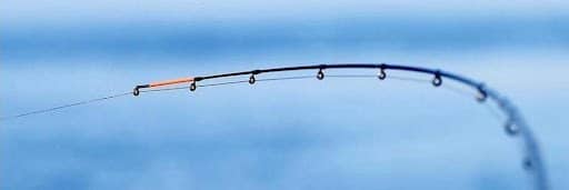 Зачем нужен шок лидер для фидера, как его вязать и как без него обойтись