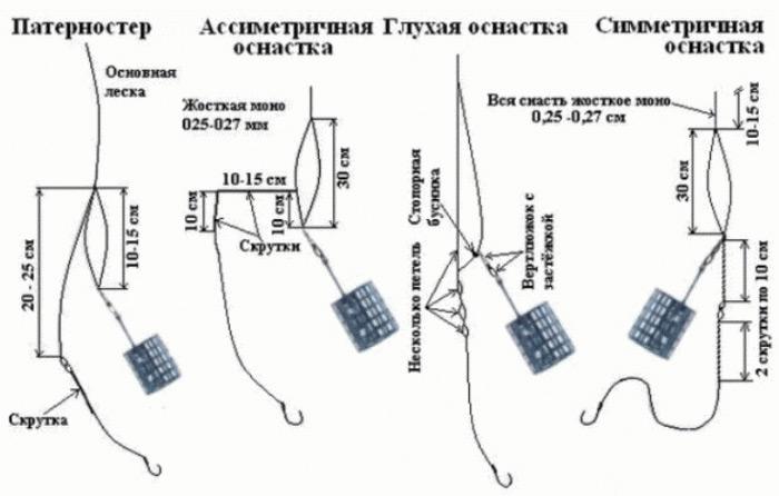 Ловля карася на фидер в стоячей воде: сбор снасти, секреты и тактика