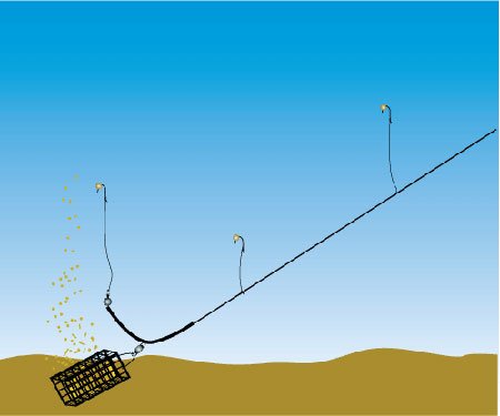 Толстолобик осенью: повадки, поиск и ловля