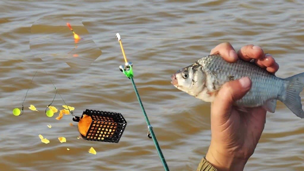 Как собрать фидерную снасть - подробное пособие для начинающих