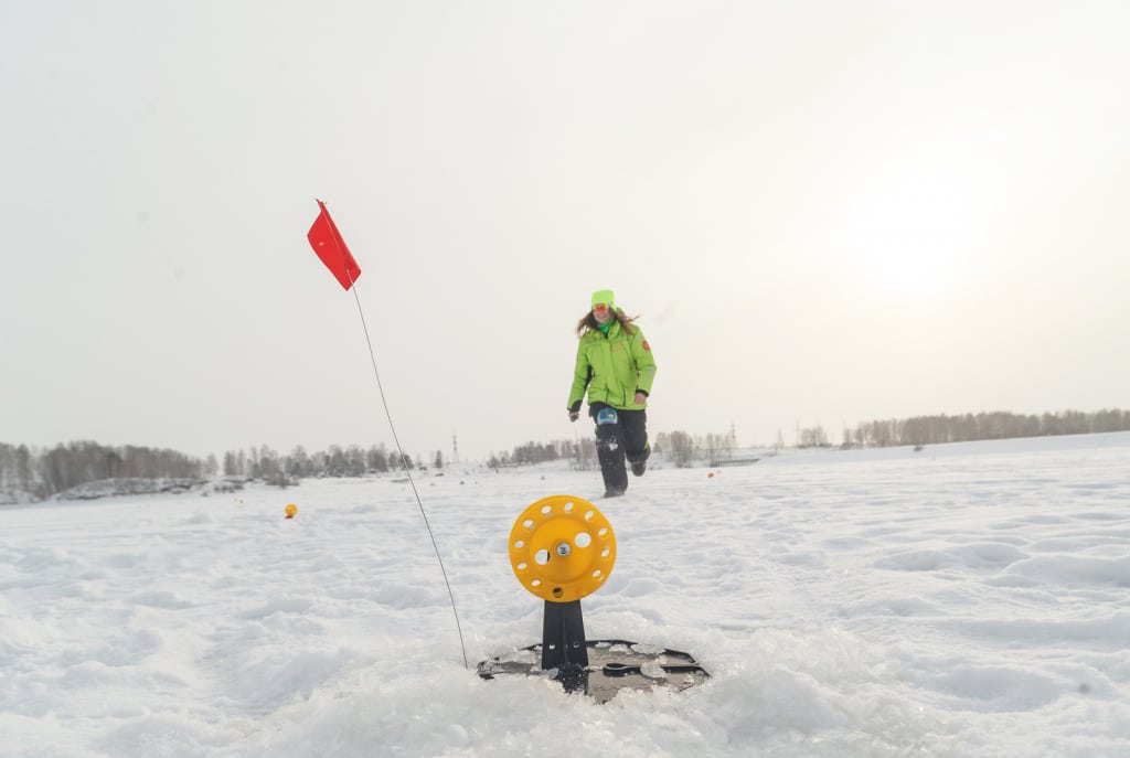 Ловля форели зимой на жерлицы и поставушки